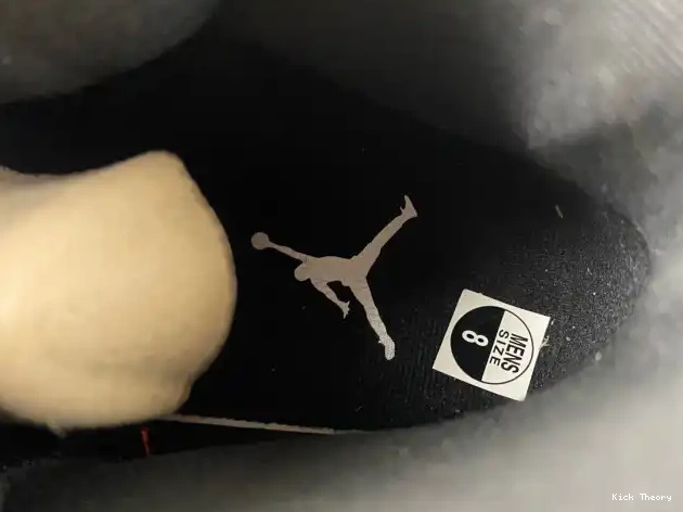 Kick Theory 130690-600 Alternate 12 Air Jordan 0606
